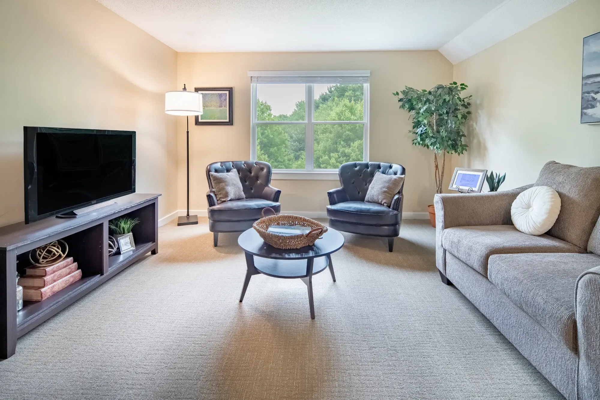 DVFG 21 Apt Living 01